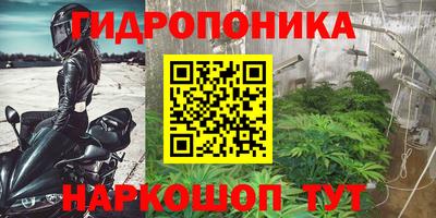 дмт Краснознаменск